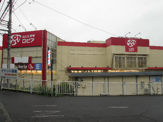 テラス綾瀬 周辺画像2