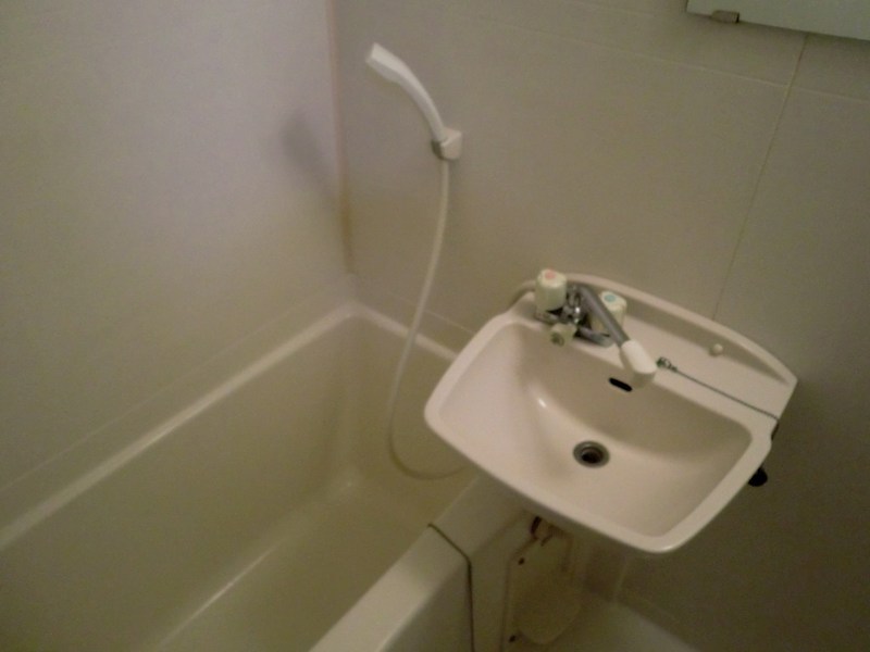 パインウェイブ 風呂画像