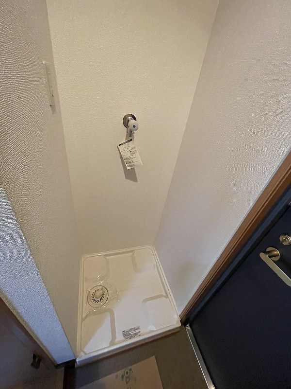 Ｃ．ｃｕｕｌｅ（セキュール） その他2