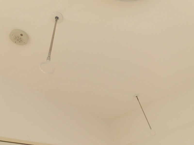 esperanza桜（エスペランササクラ） その他13