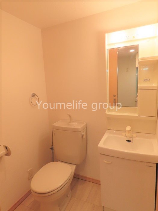 アネシス その他1