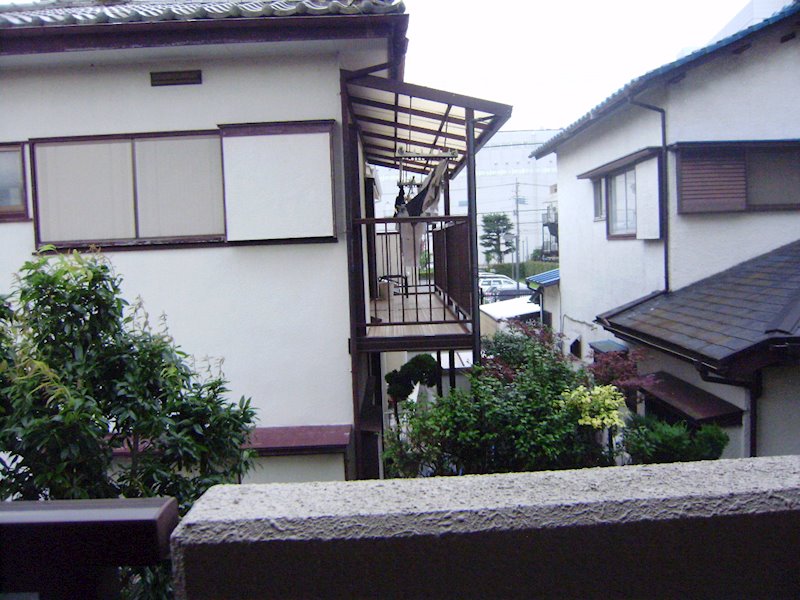 プリムローズ その他8