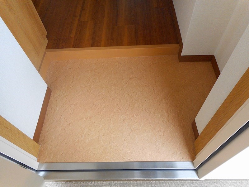 ルナアイリス 玄関