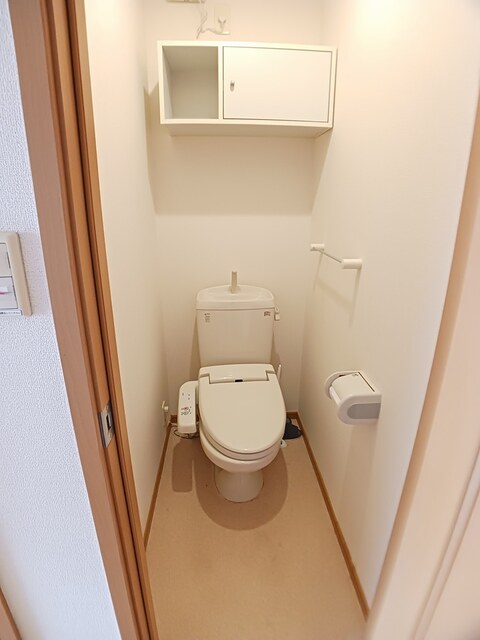 プラシードＫ その他1