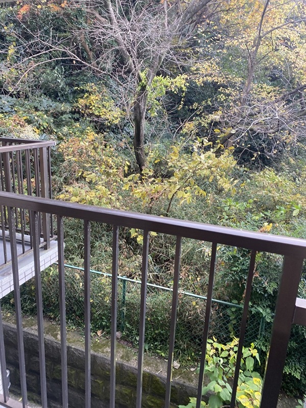 クリオ鎌倉笛田 その他1