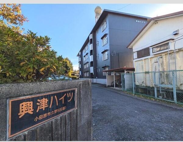 興津ハイツ その他外観1