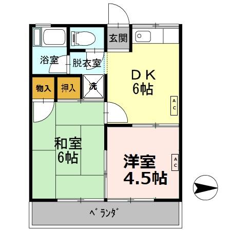 大沢ハイツ 201号室 間取り