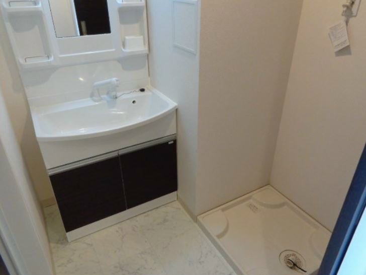 アオイリオーサ  その他2