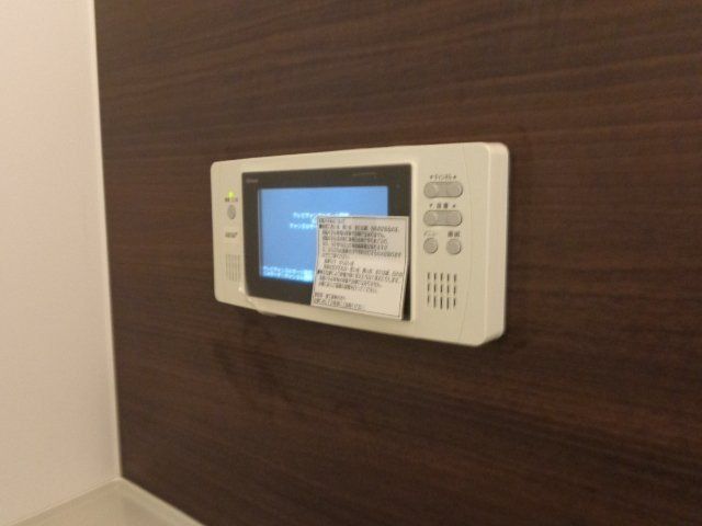 アオイリオーサ  その他外観2