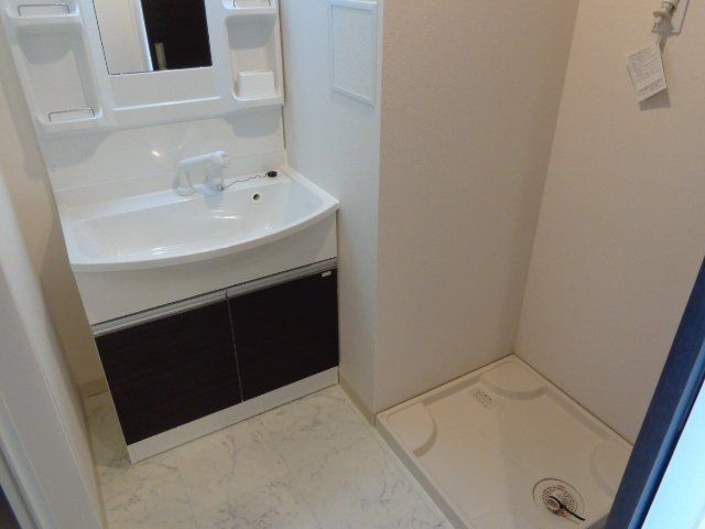 アオイリオーサ  その他15