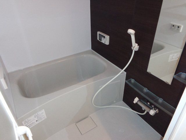 アオイリオーサ  その他16