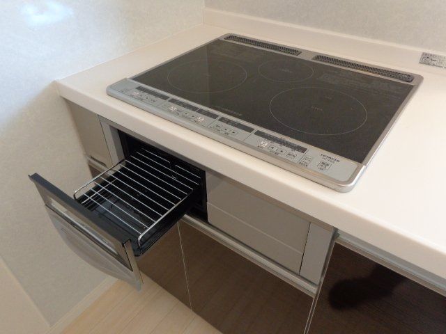 アオイリオーサ  その他20