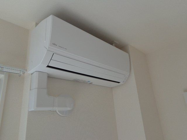 アオイリオーサ  その他22