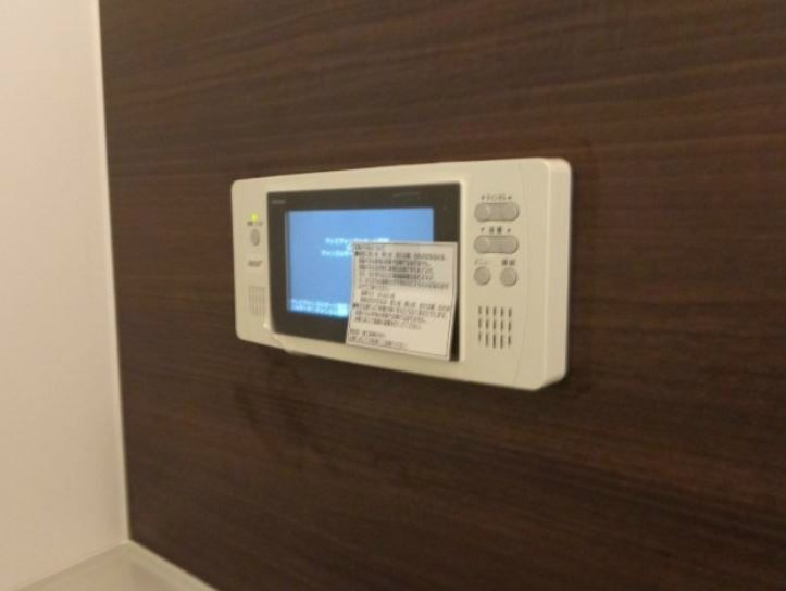 アオイリオーサ  その他6