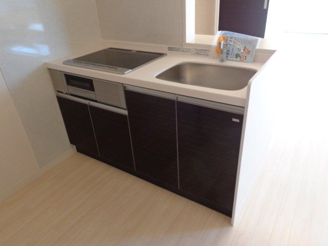 アオイリオーサ  その他9