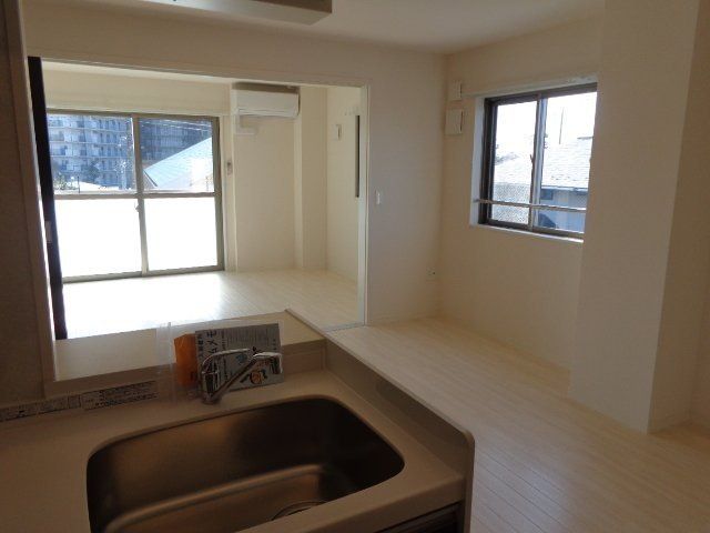 アオイリオーサ  その他11