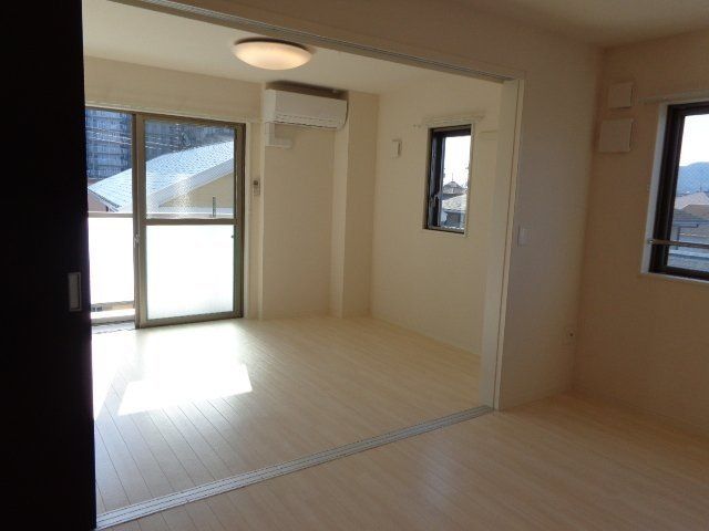 アオイリオーサ  その他13