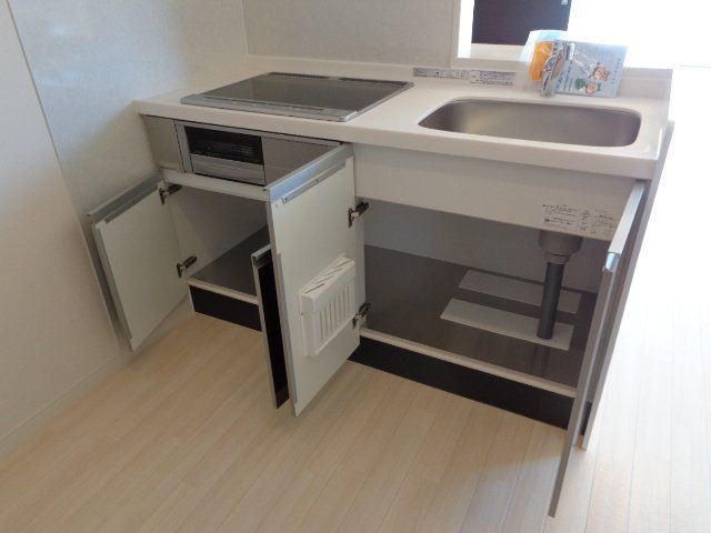 アオイリオーサ  その他21