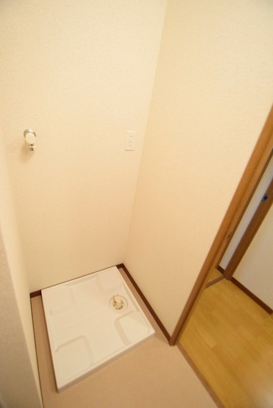 サン・パーシモン その他6