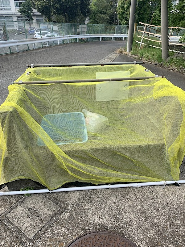 ビュー湘南 その他外観3