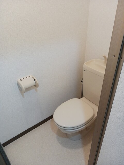 アイリスＢ その他4