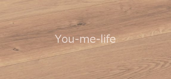 （仮称）常盤町-沼井様計画 リビング