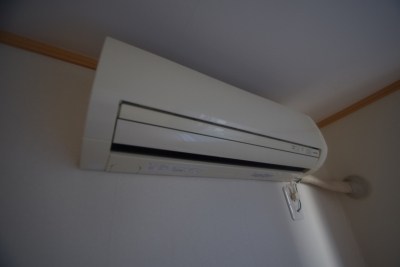 ロック・フィールド水引 その他2