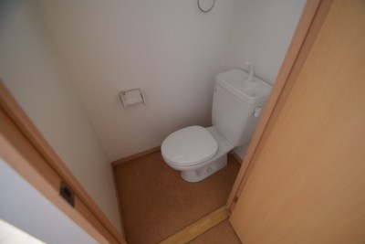 ロック・フィールド水引 その他1