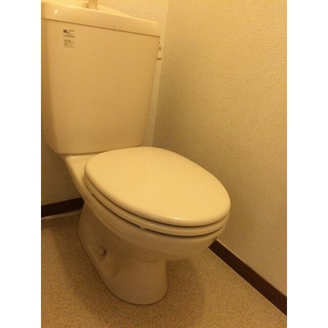 アムール元 その他1