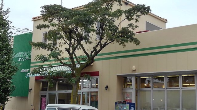 スアヴィス平塚八重咲 その他外観4