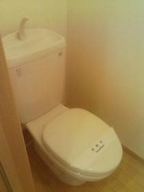 グリーンカーサF その他2