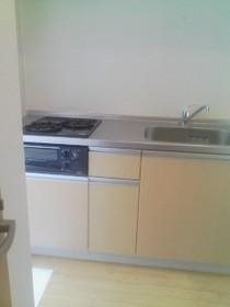 グリーンカーサF キッチン