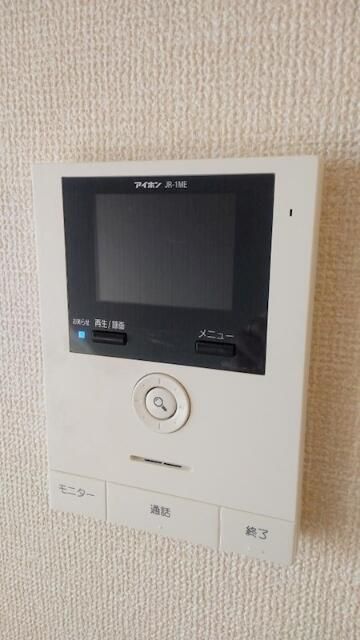 コウヤマキ その他1