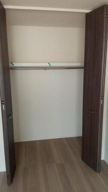 コウヤマキ その他2