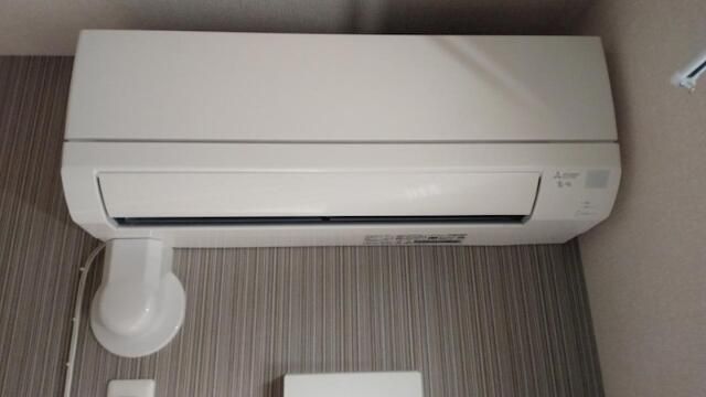 コウヤマキ その他3