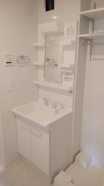 コウヤマキ その他5