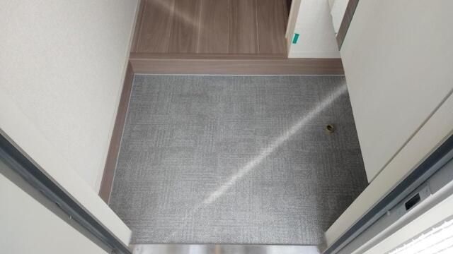 コウヤマキ 玄関