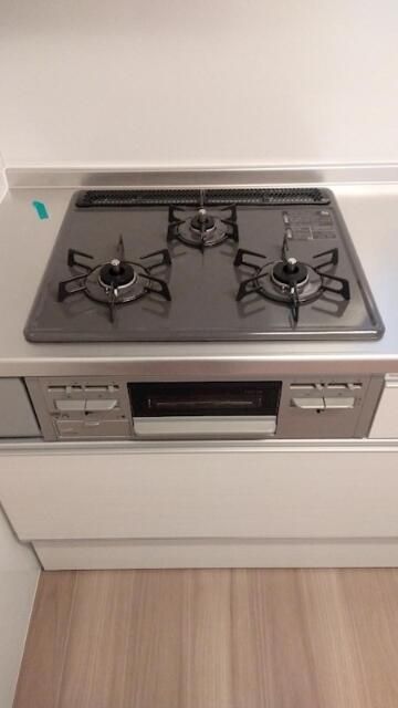 コウヤマキ その他7