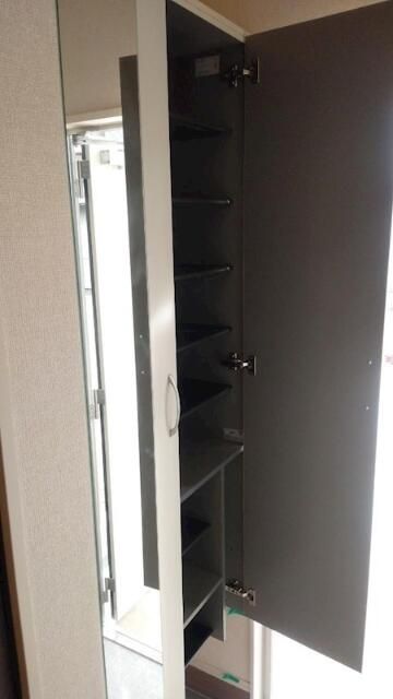 コウヤマキ その他9