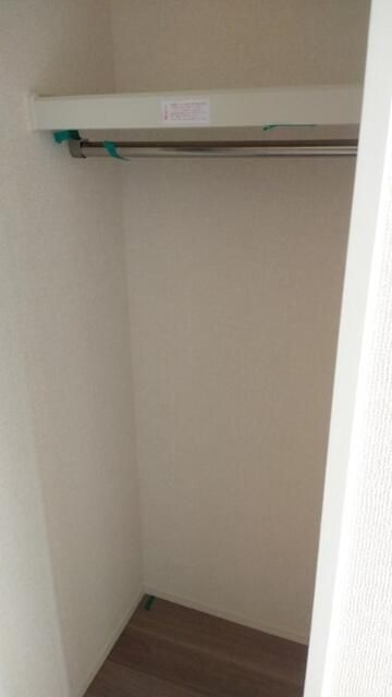 コウヤマキ その他10