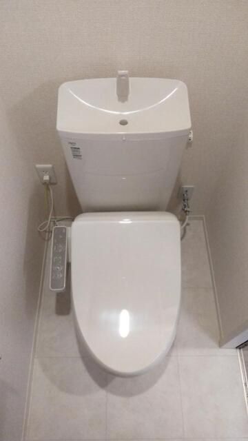 コウヤマキ その他11