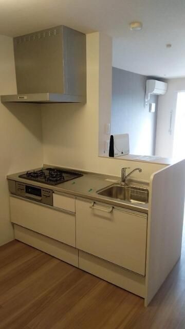 コウヤマキ その他12