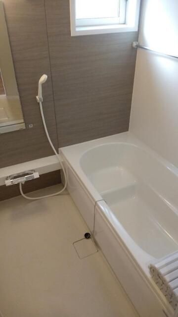 コウヤマキ その他19