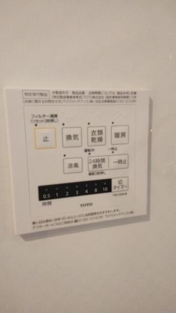 コウヤマキ その他20