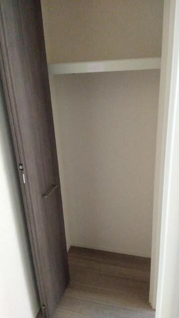 コウヤマキ その他22