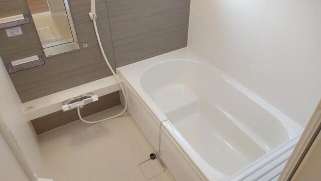 コウヤマキ 風呂画像