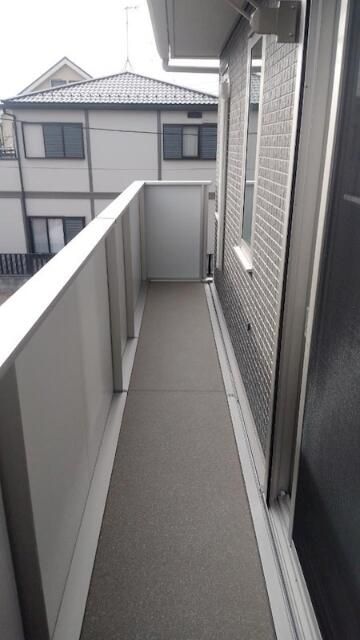 コウヤマキ ベランダ