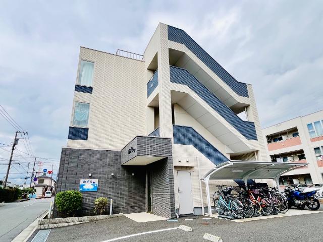 あざらし その他外観1