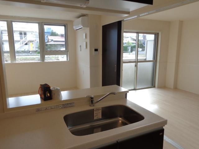 あざらし その他10