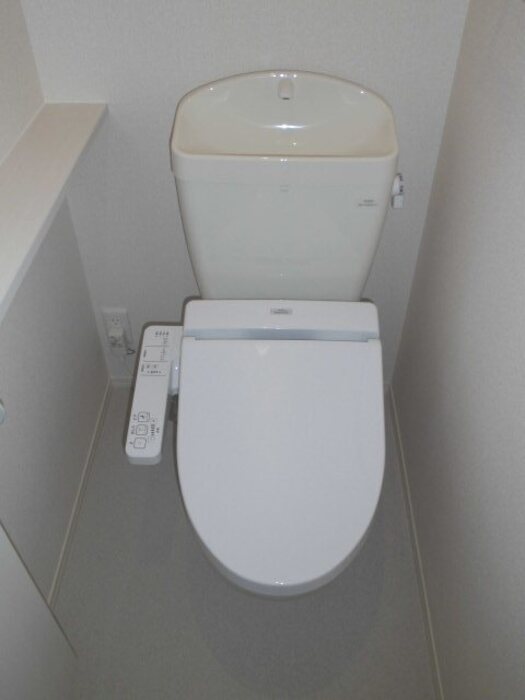 セントラル水引 その他3